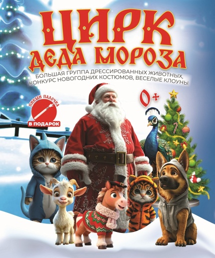 Цирк деда мороза(ДК г Кашин)